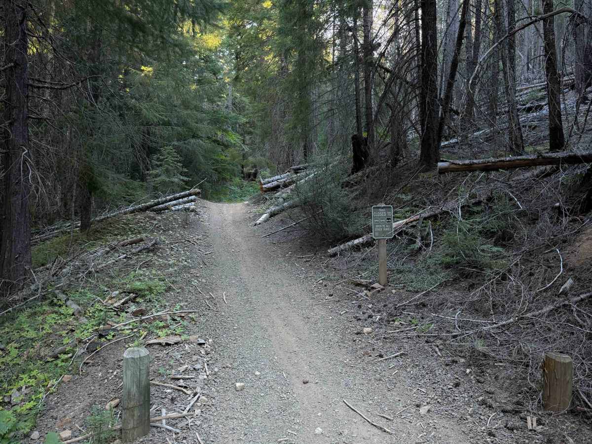 McCall Creek OHV #49 trail photo