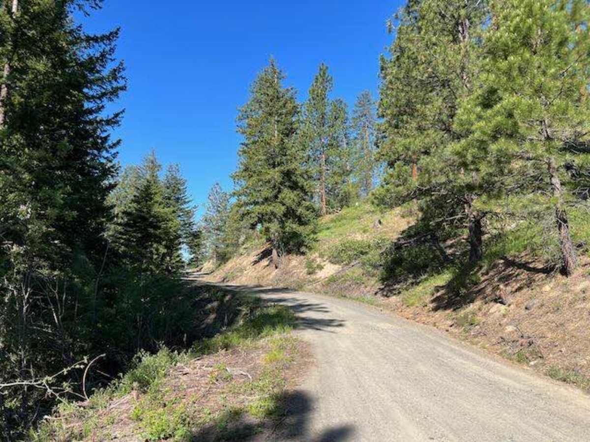 Scotty Creek Road - FS 7324 photo 3