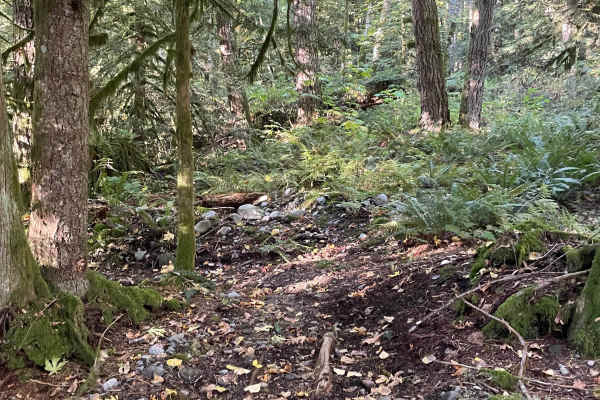 Entrance Trail