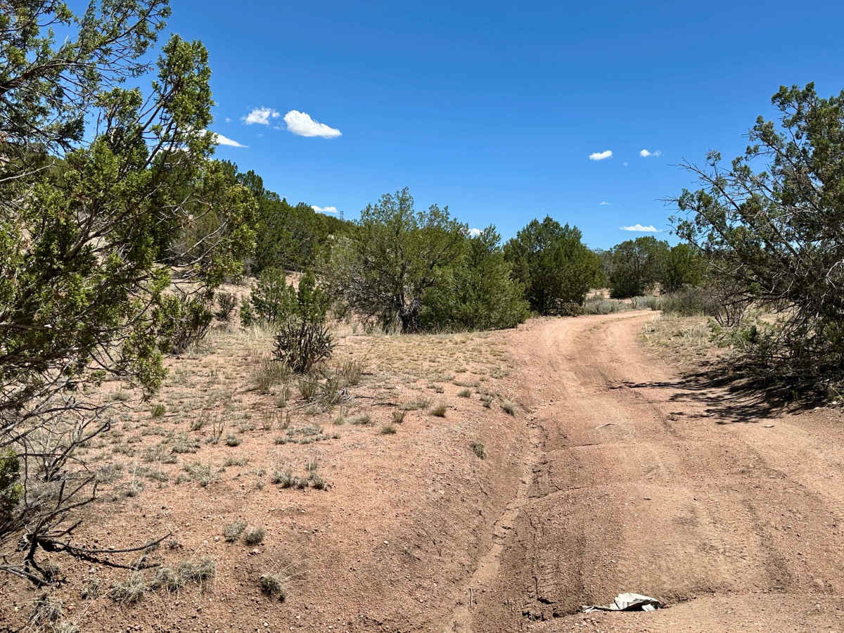Dispersed Camping Trail photo 3