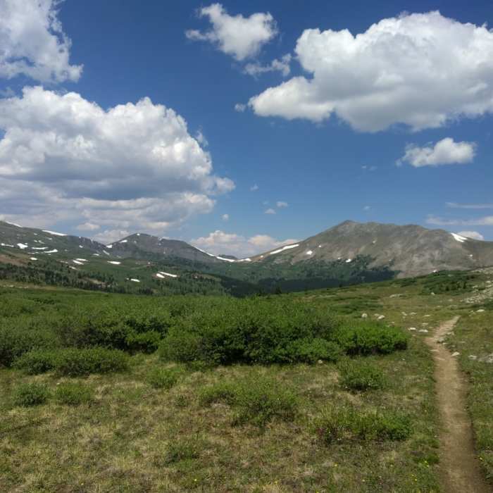 High alpine on the CDT. Near CDT: Hancock to Tincup Pass Road (CO Sec. 20)