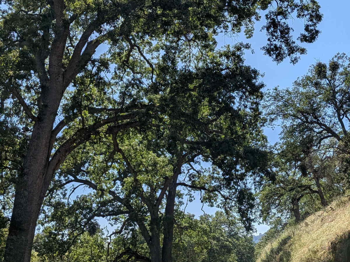 Coffee Creek Road photo 2