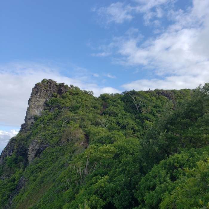 Near Nounou Trail East