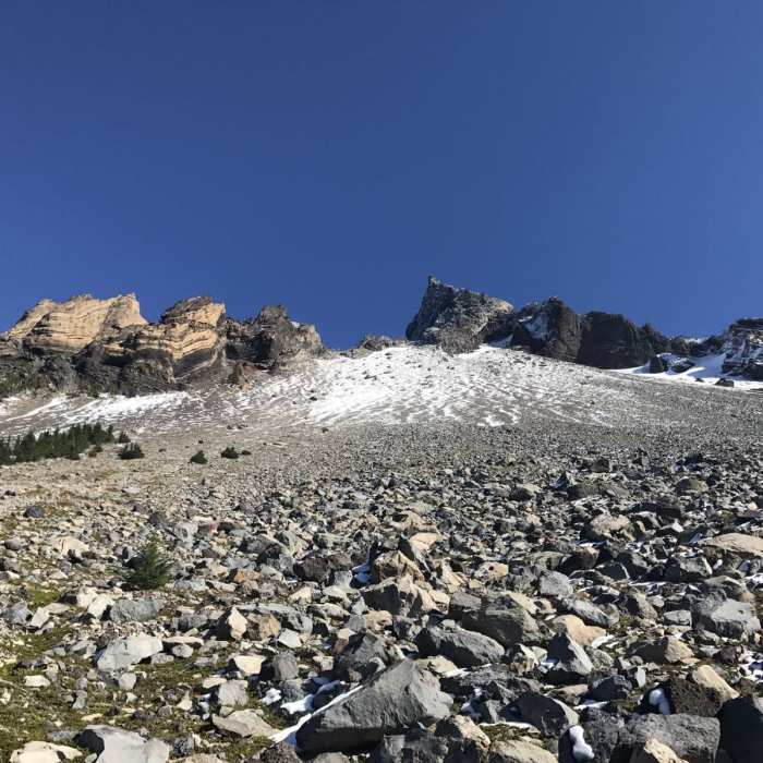 Near Pacific Crest Trail: Oregon Section D -- Highway 138 to Highway 58 (near Willamette Pass)