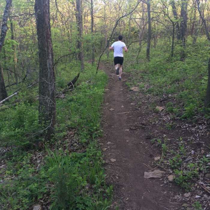 Perfect evening conditions! Near Orange Trail