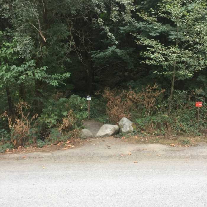 Near Issaquah-Preston Trail