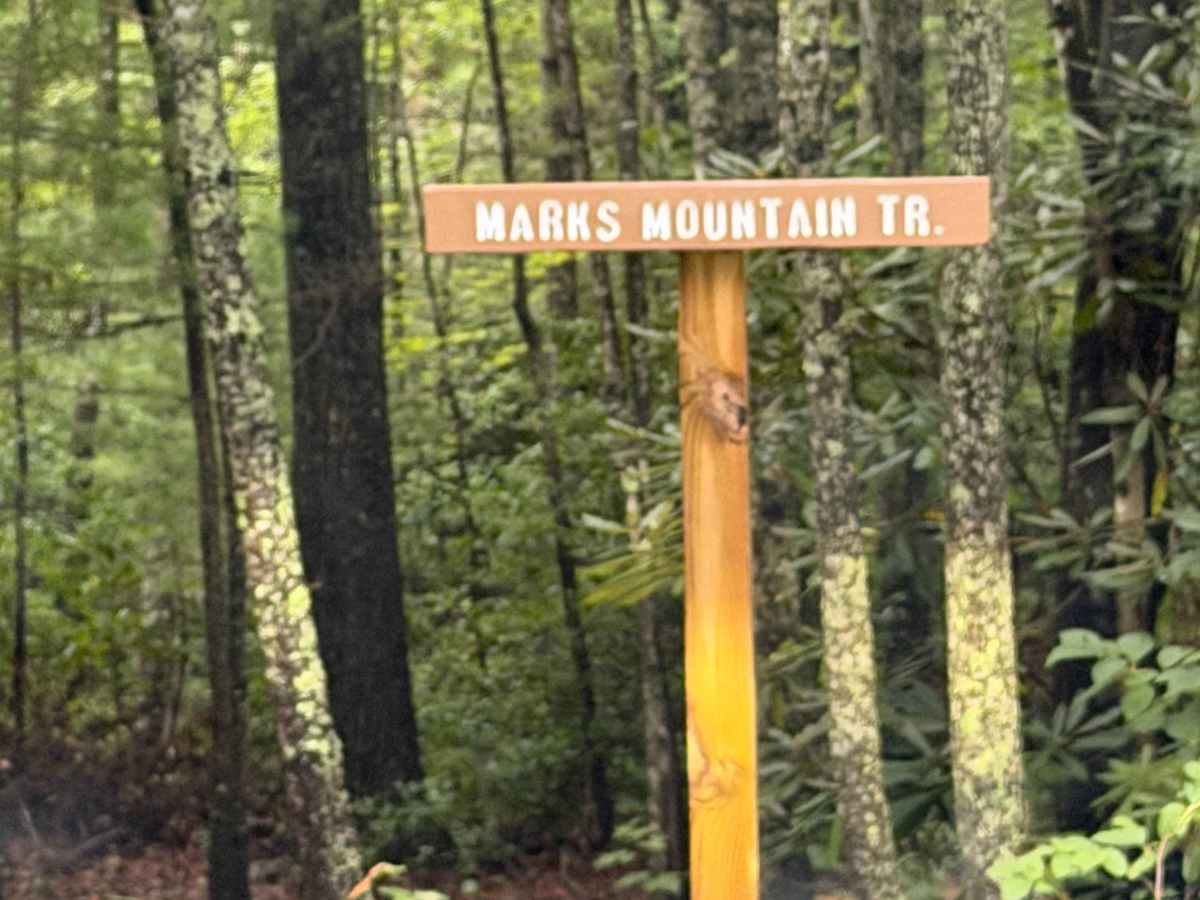 Marks Mountain - FS 451 photo 4