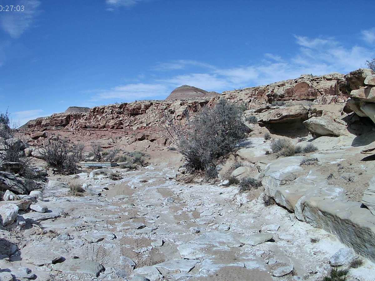 D3136 trail photo