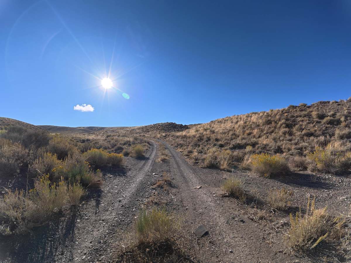 Waucoba Road photo 6