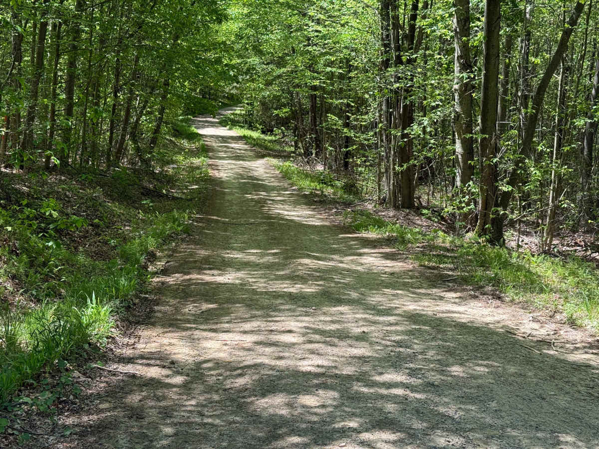 McDade Run - FS 463 photo 6