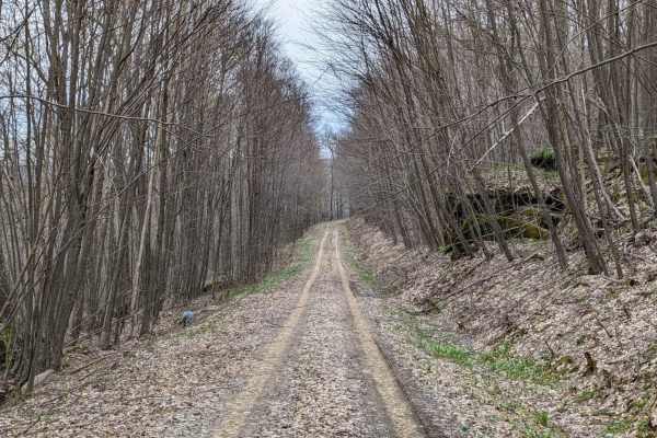Overlook Rock Trail