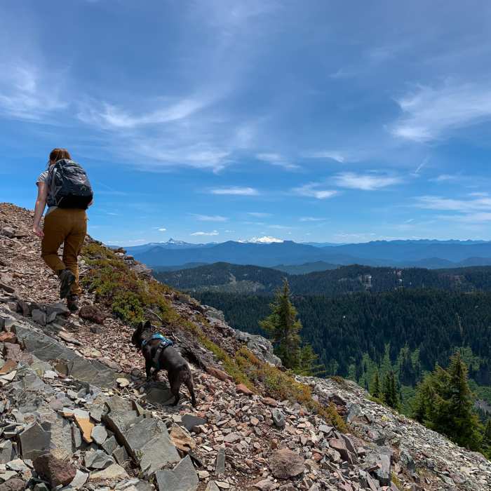 Near Battle Ax Mountain Loop