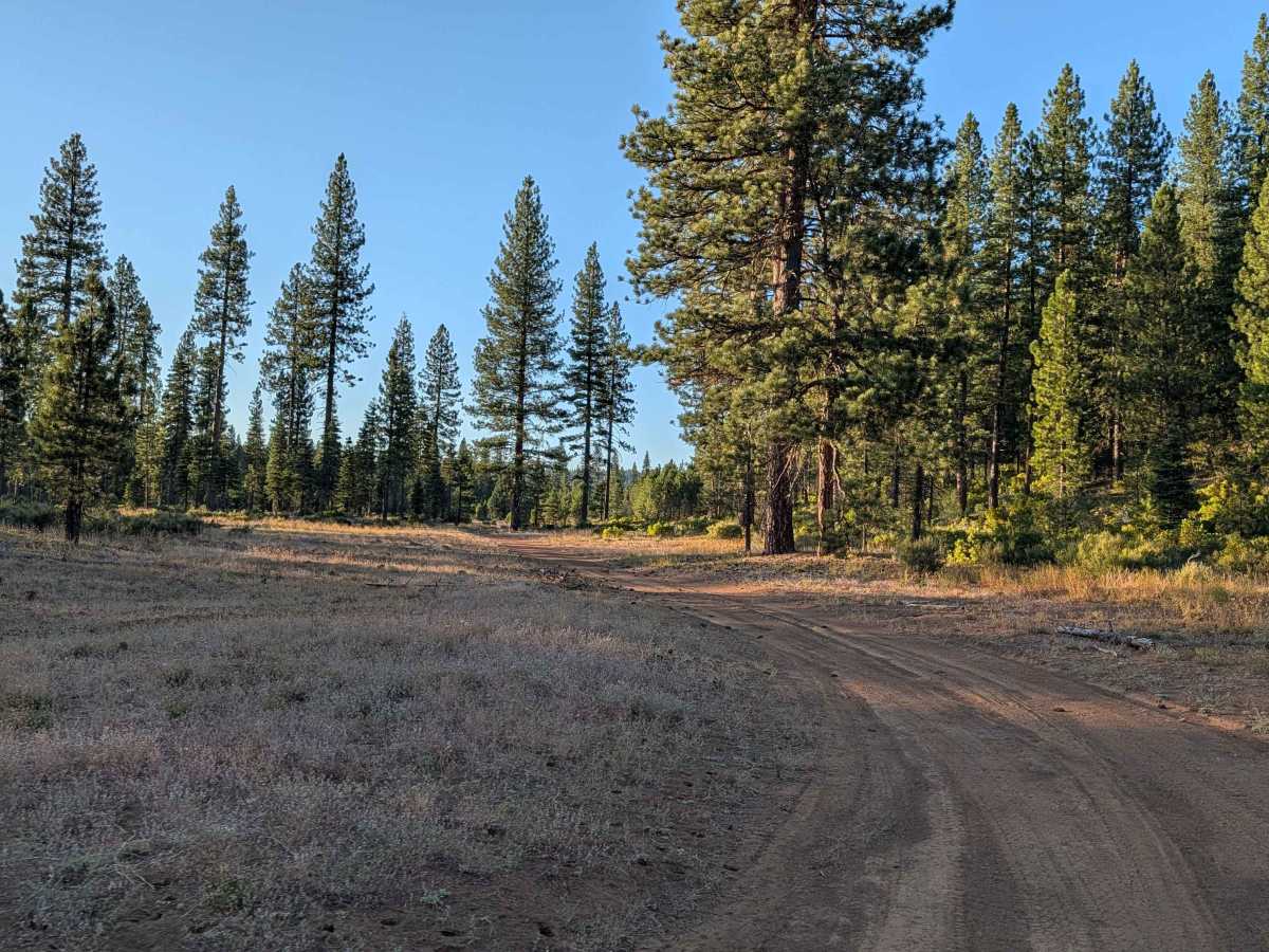 Sandy Rock - FS 40N12X photo 2