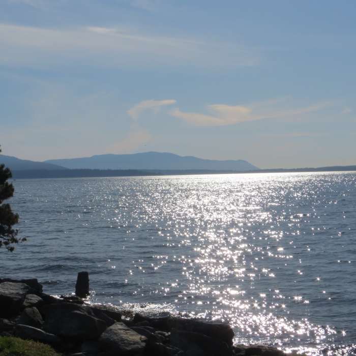 Near South Bay Trail