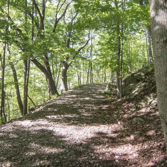 Near Stillman-Bluebird Loop