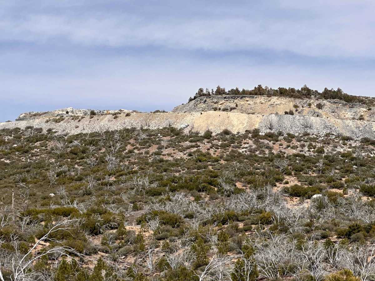 Saltbrush Trail photo 5
