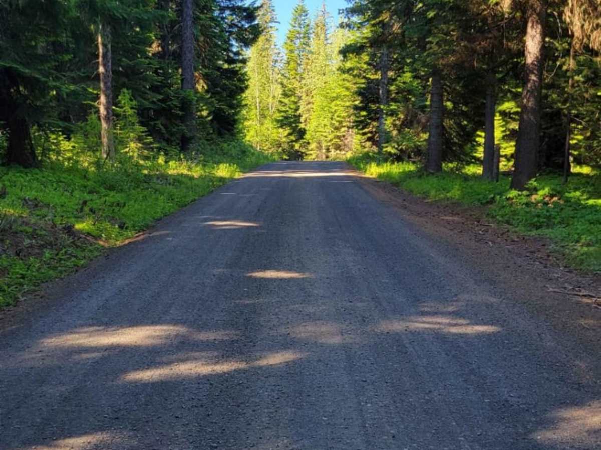 Lookout Mountain Road - FR 4410000 photo 3