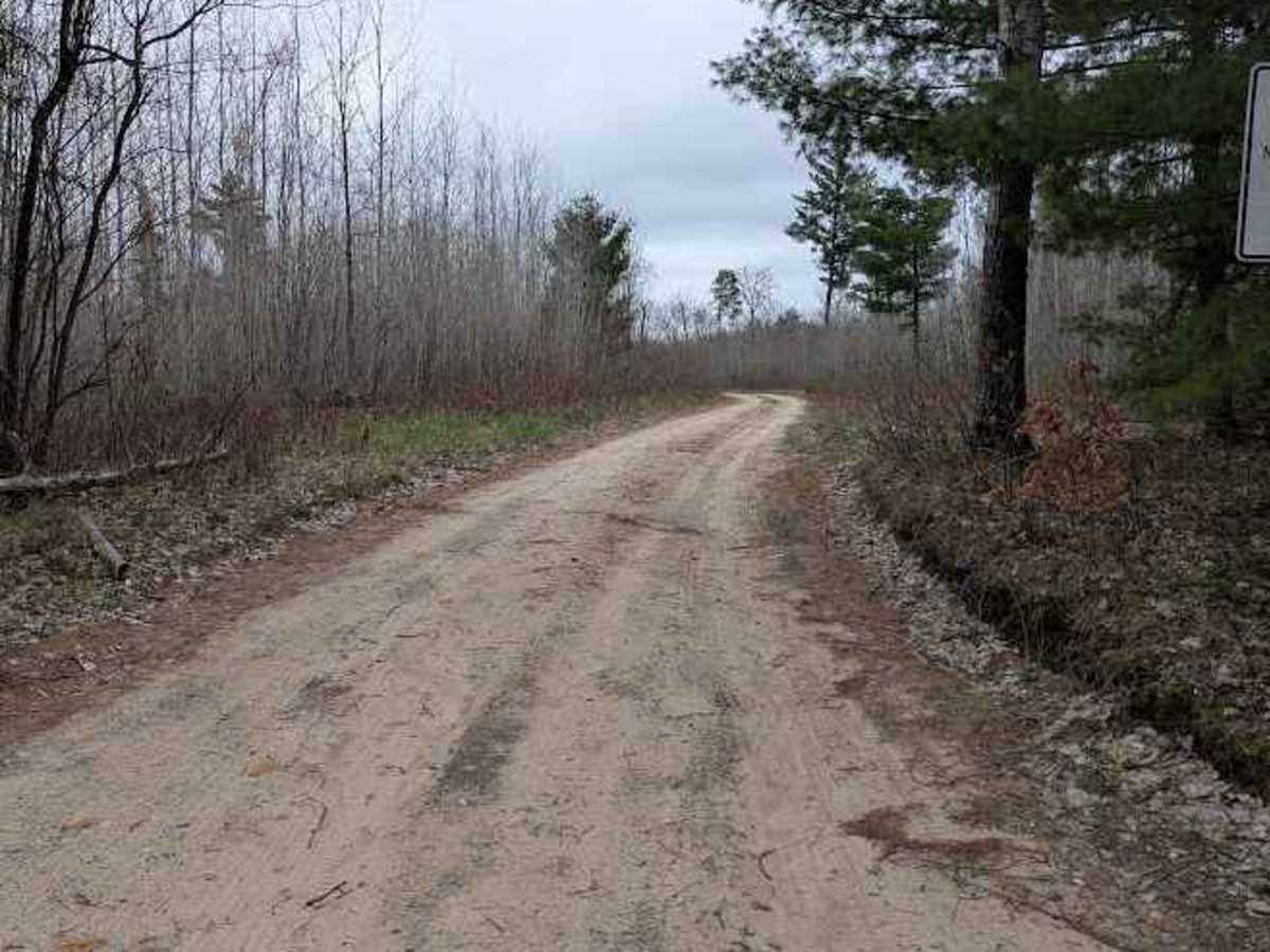 Osceola Trail North photo 6