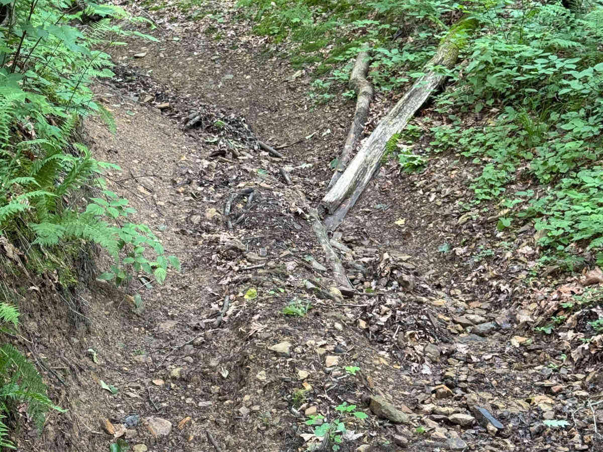 Trail 33 photo 5