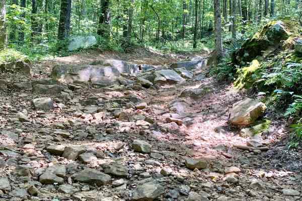 Wolf Ridge