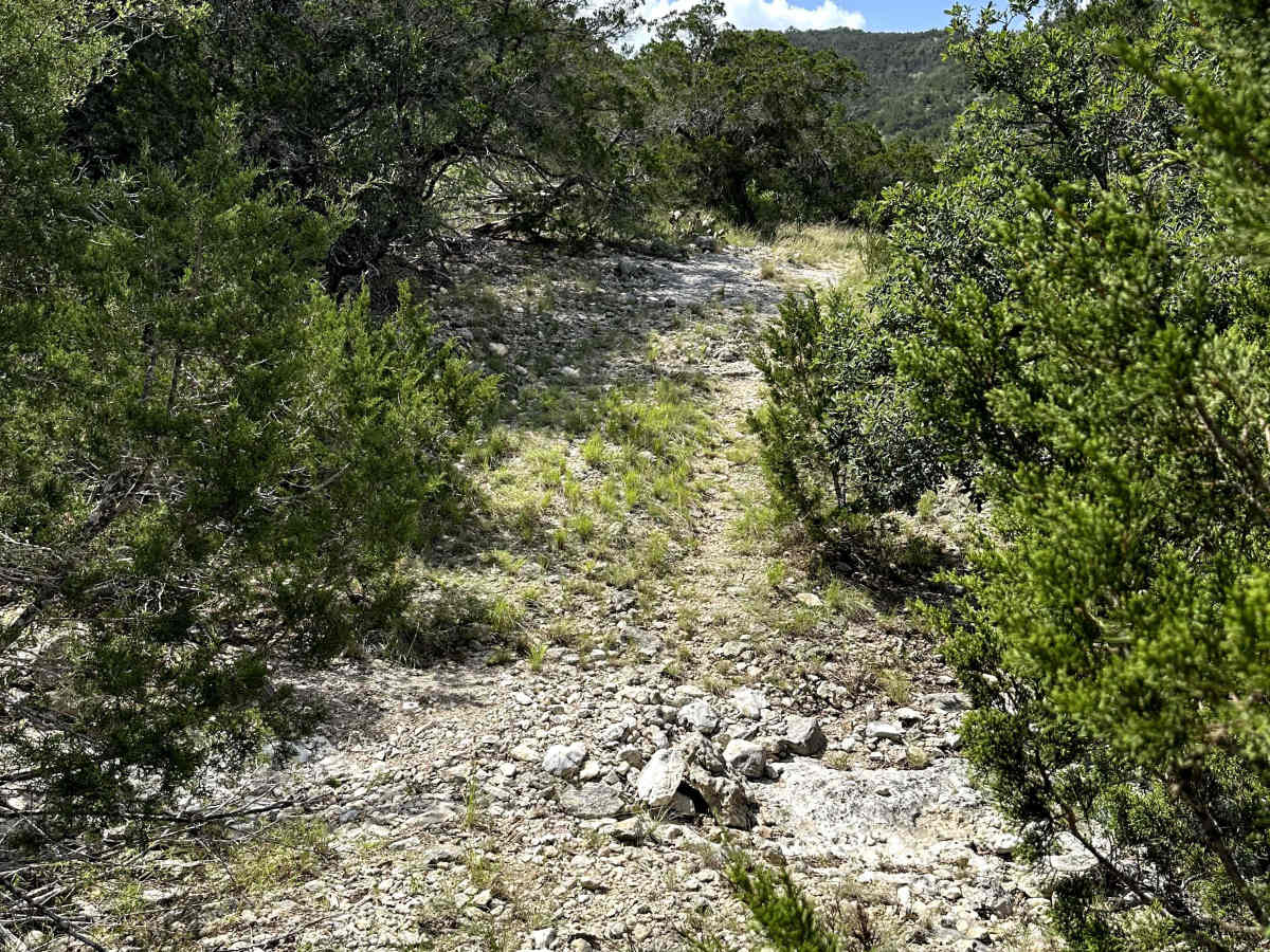 Oat Patch photo 4