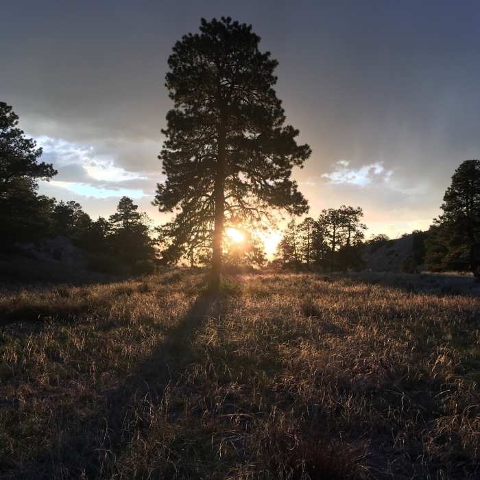 Near Sand Ramp Trail