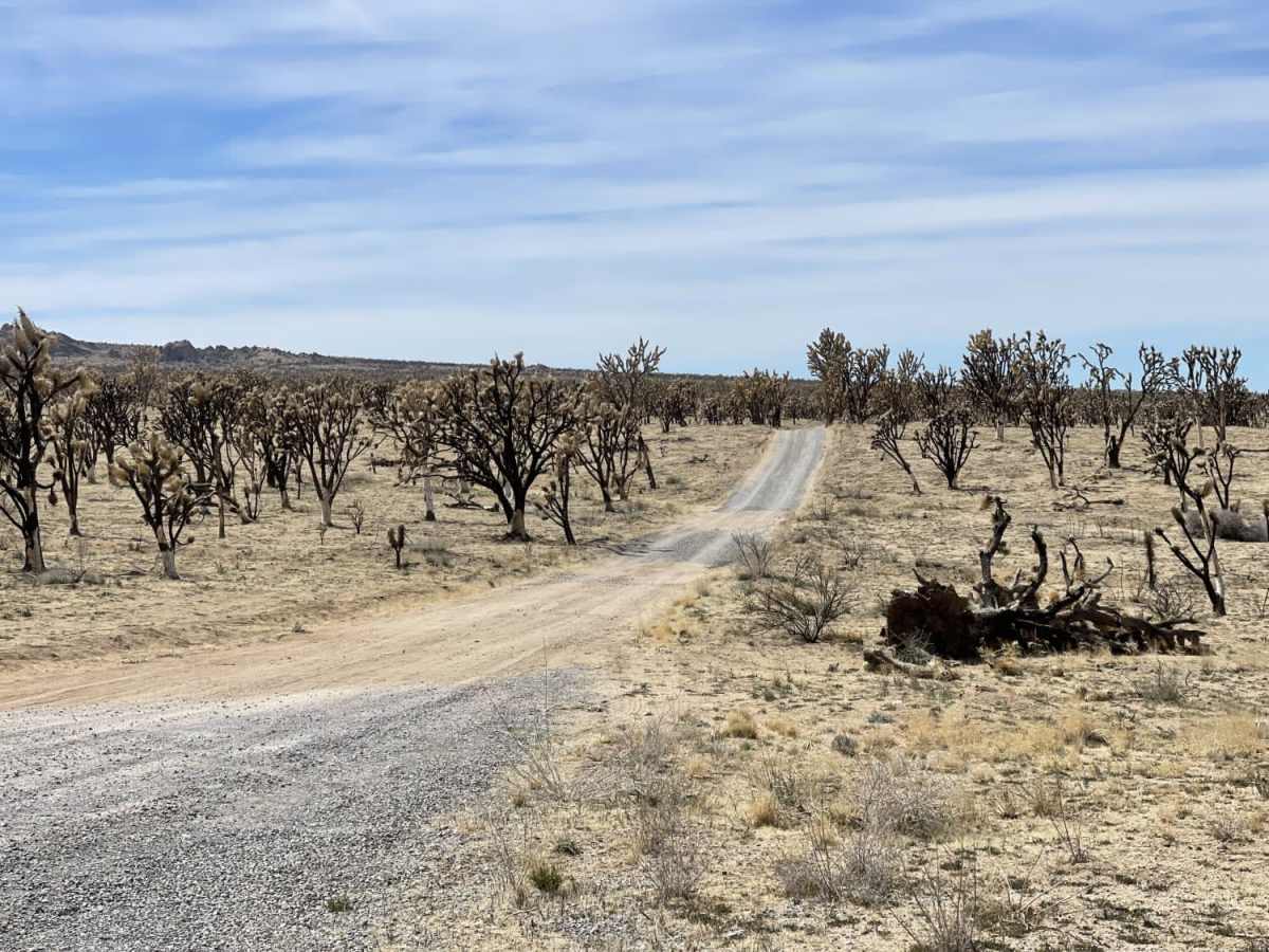 Valley View Ranch Road photo 4