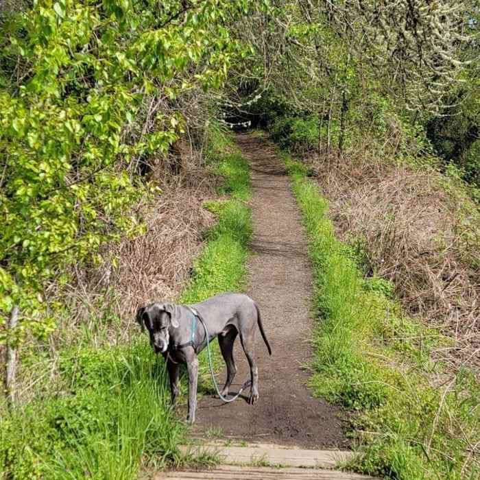 Near Wapato Loop Trail