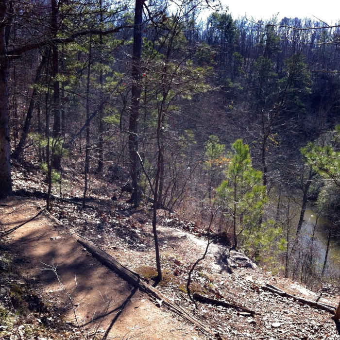 Trail above Big Creek. Near Roswell Mill