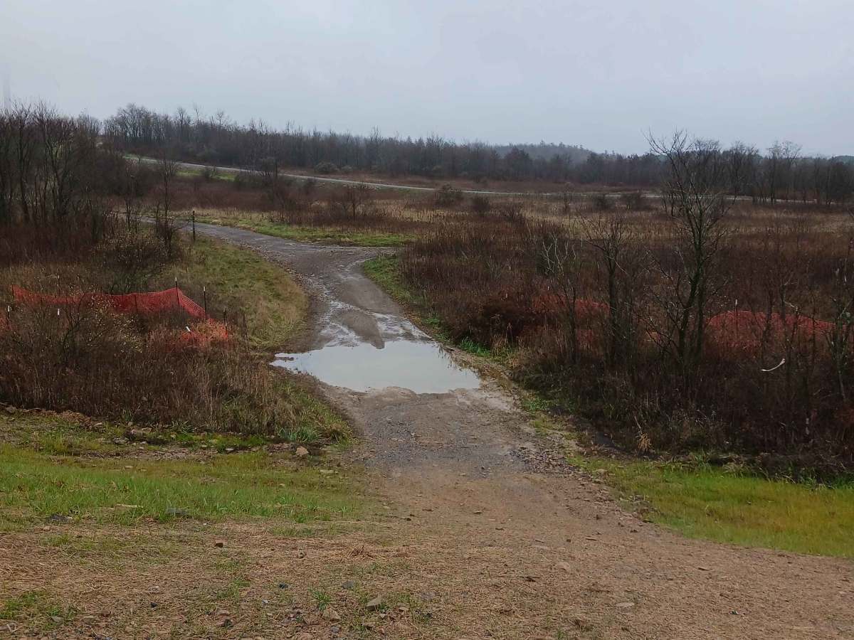 Raptor Path - The OG - Rock Run Recreation Area photo 2
