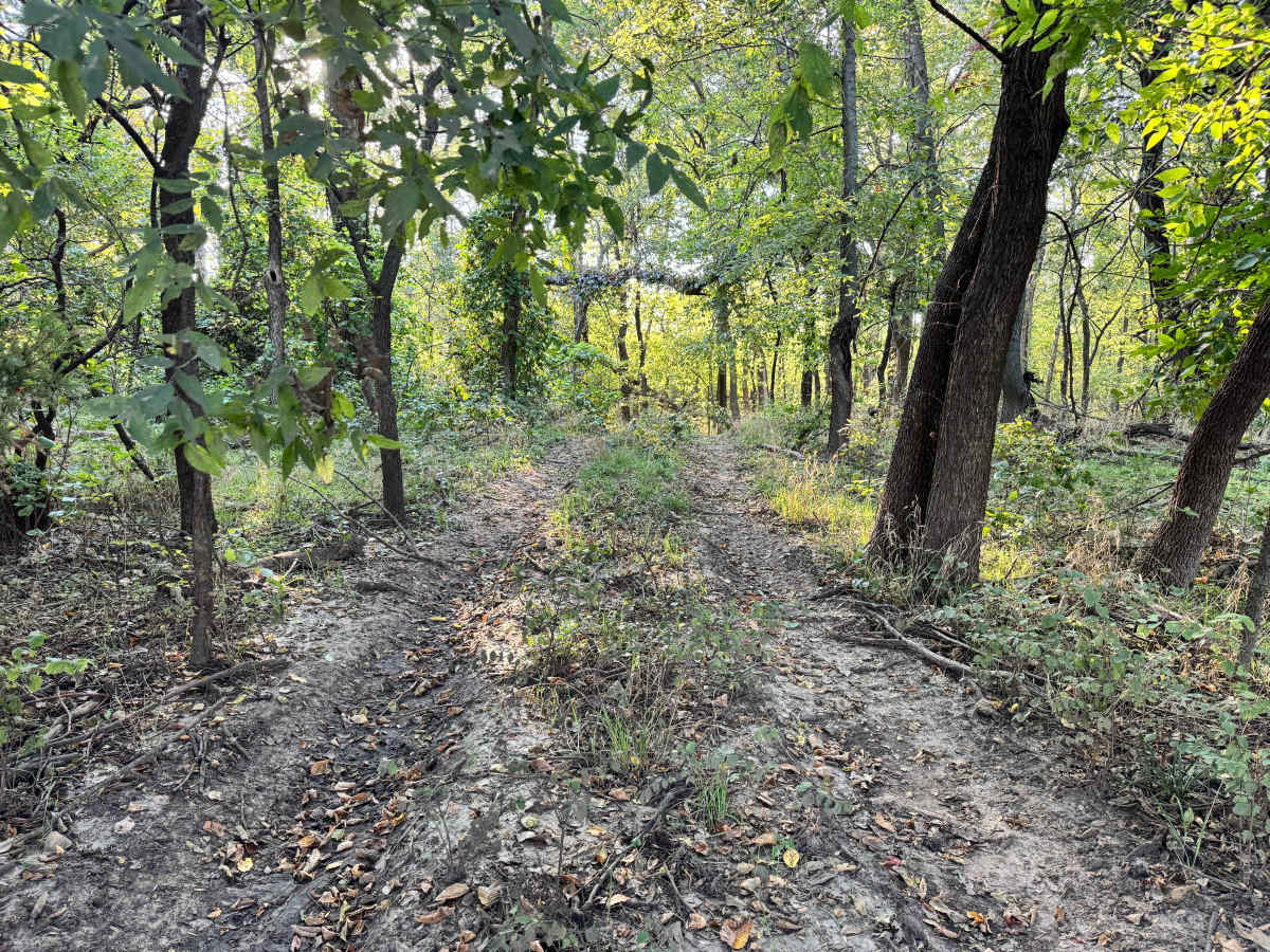Spool'n Trail photo 5