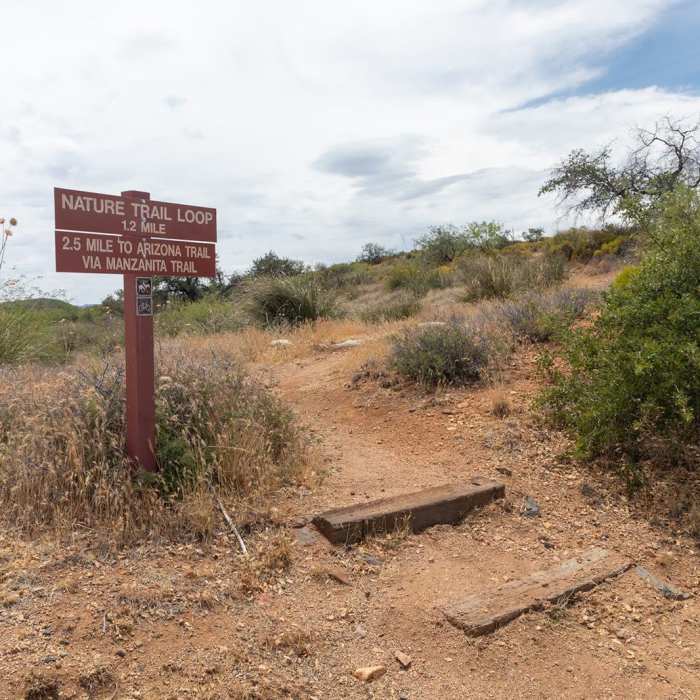 Near Nature Trail Loop
