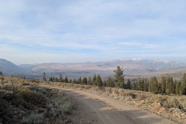 Stockade Flat Road
