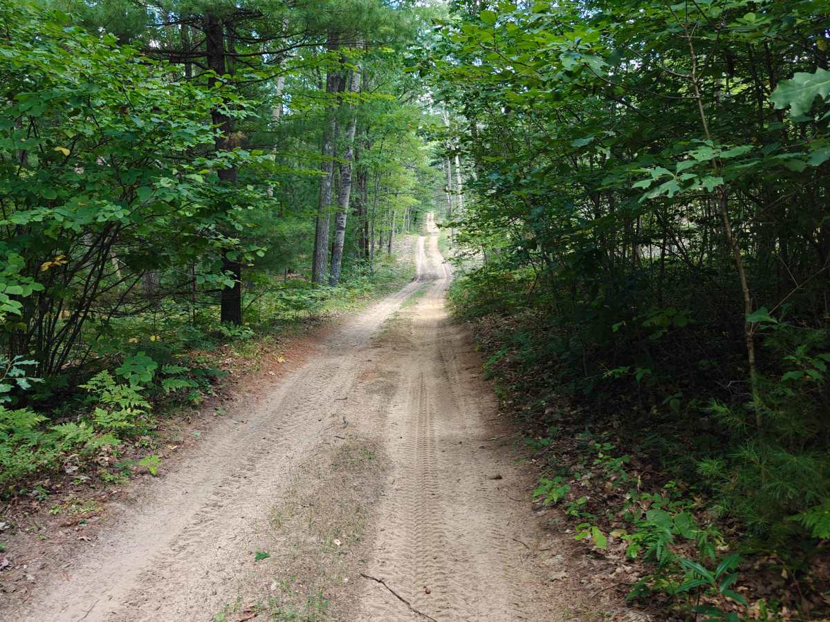 Cut Trail photo 2