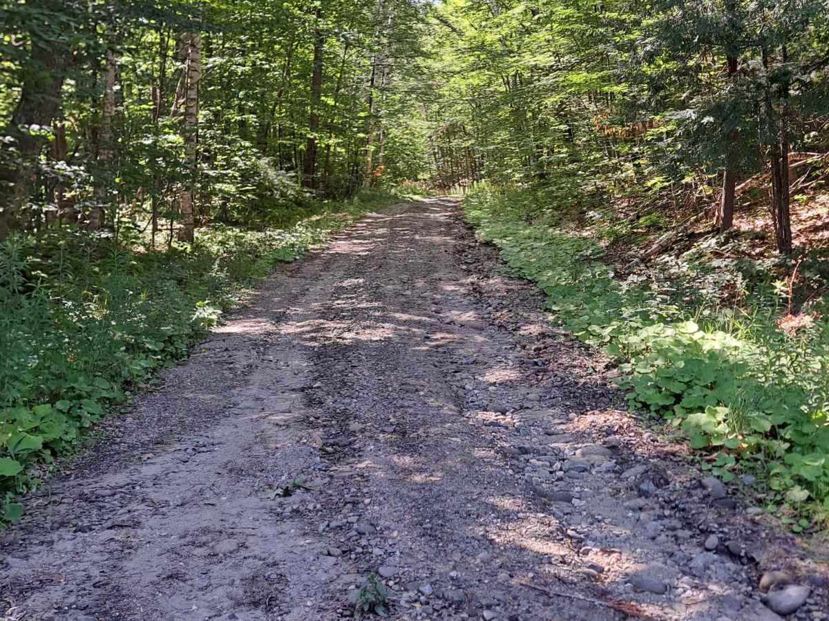 Copperas Road photo 5