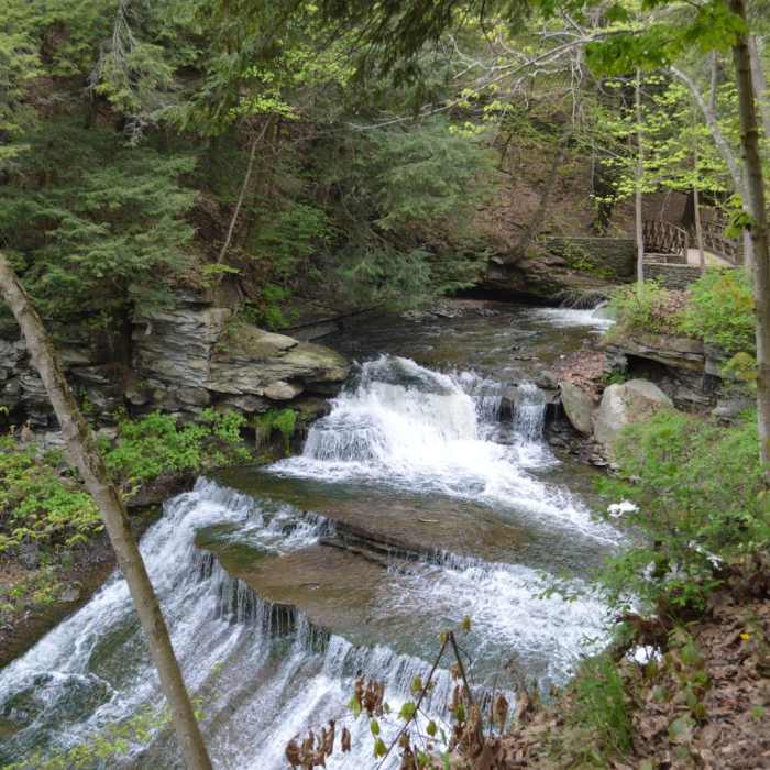 Near Letchworth West Gorge Trail Near Letchworth West Gorge Trail
