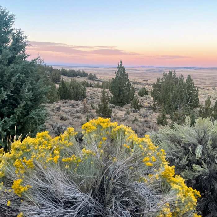 Near Frenchglen Loop Near Frenchglen Loop