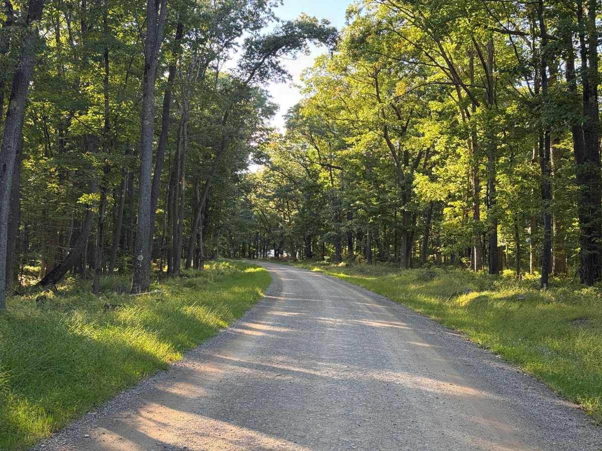 Old State Road - FS 157 photo 3