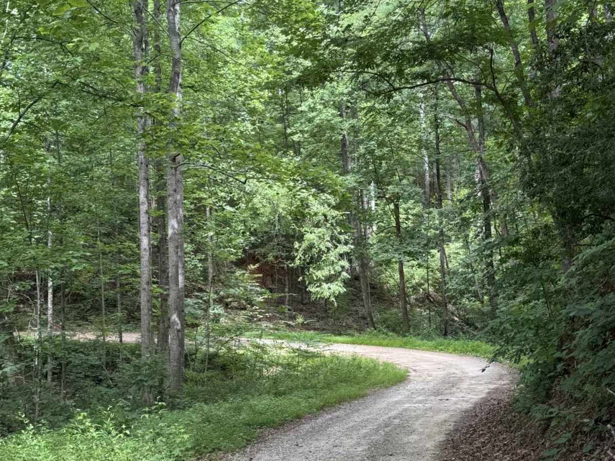 Hill Cove - FS 705 photo 3