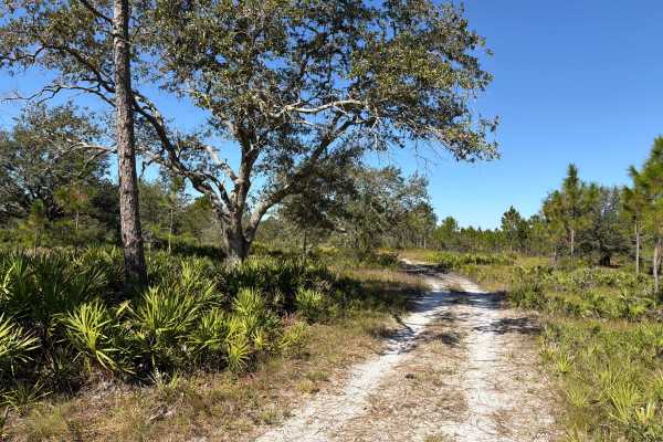 Road 15 - Three Lakes WMA
