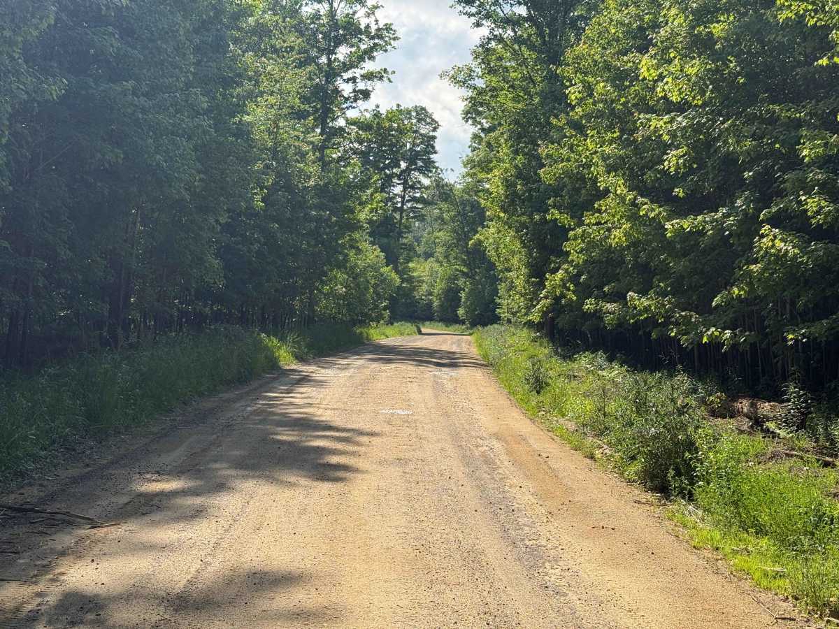 Deadman's Corner - FS 128F photo 2