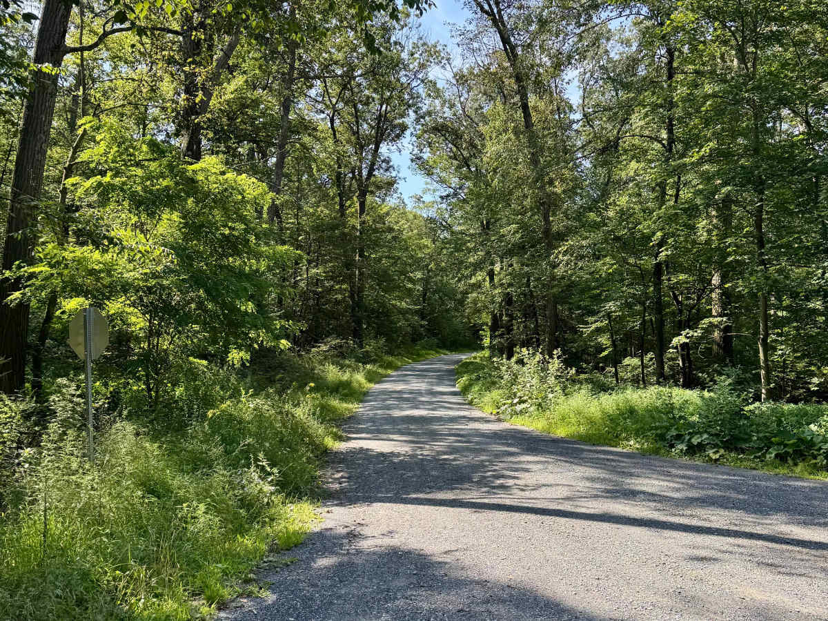 High Rock Road photo 4