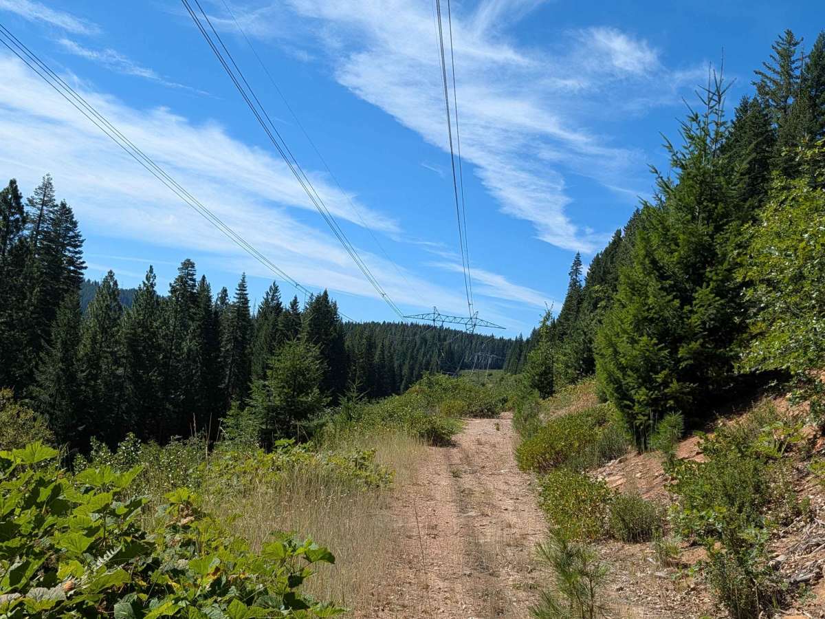 Tower 322 - FS 40N82YA trail photo