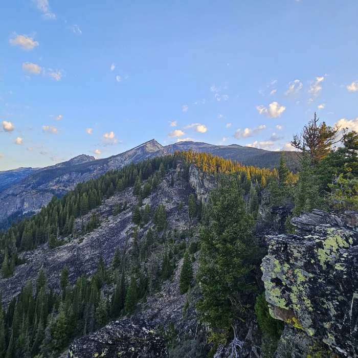 Near Trapper Peak Trail