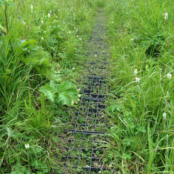 Near Williwaw Lakes + Mount Elliot Scramble