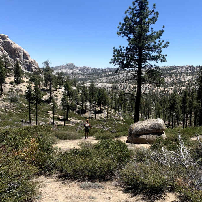 Near Woodpecker Trail Near Woodpecker Trail