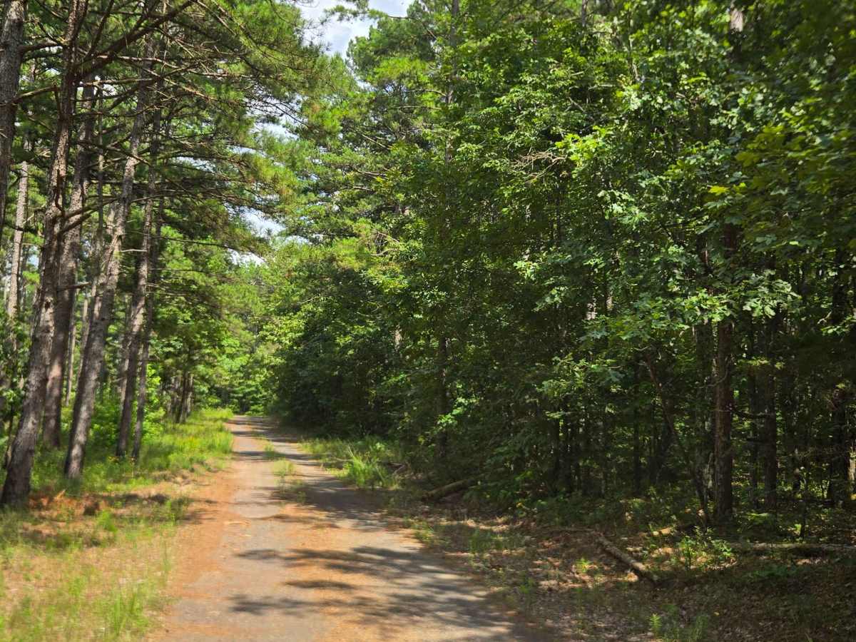 Circle Drive Road trail photo