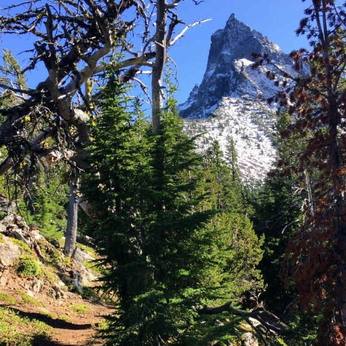 Near Diamond Lake to Odell Lake