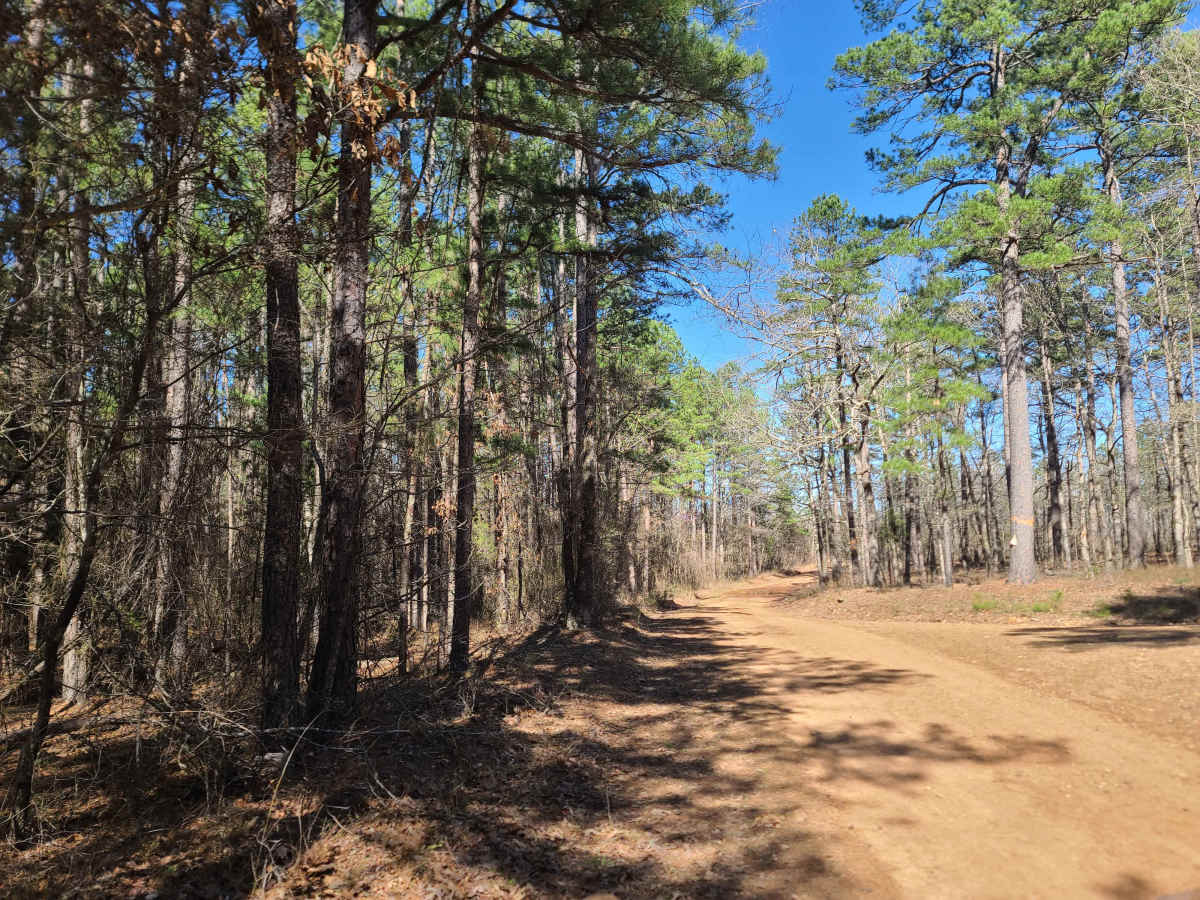 Ritz Road trail photo