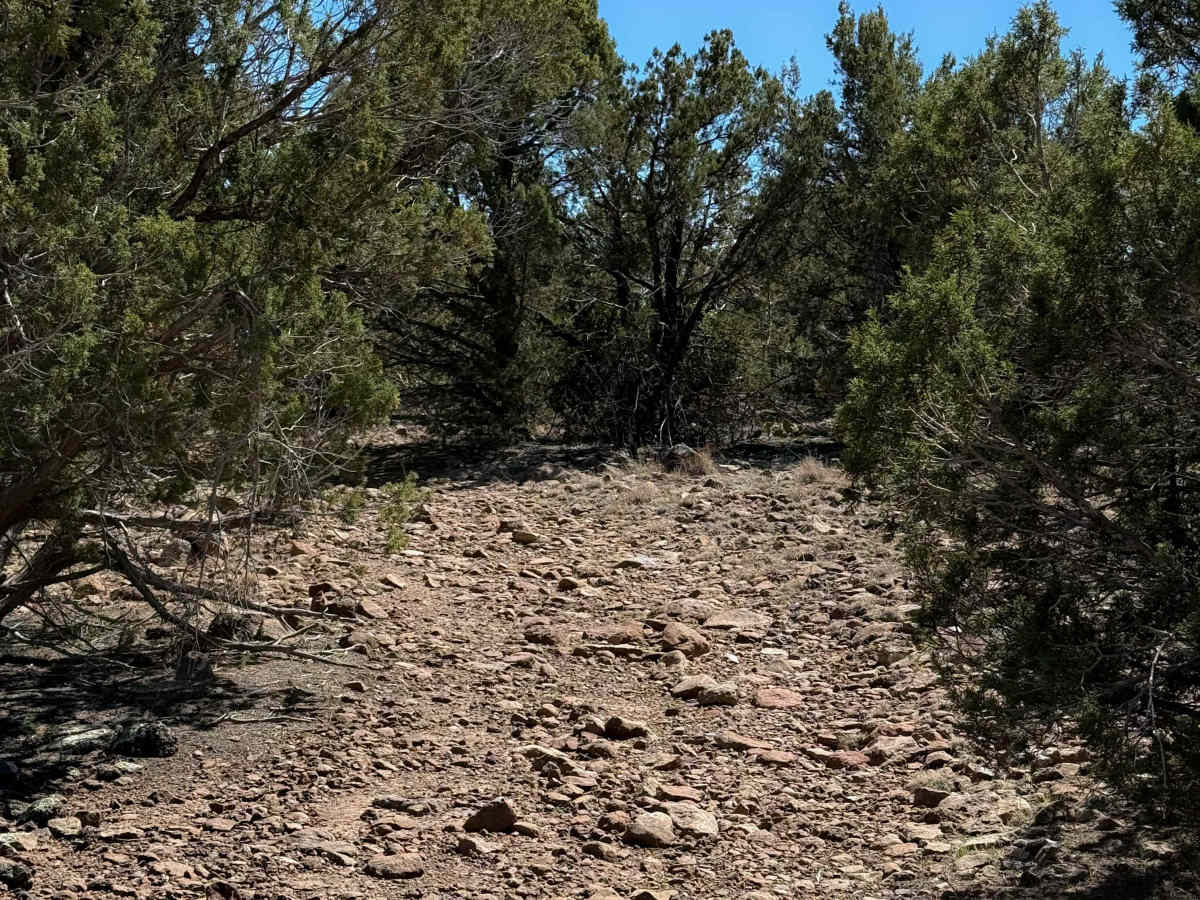 Tailhoit Mesa Trail #666  trail photo